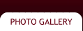 Photo Gallery